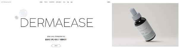 더마이즈의 회사 CI