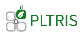 플트리스의 회사 CI